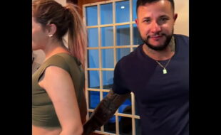 Marido corno assiste amigo fuder sua esposa