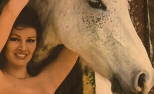 Vintage Taboo, Pussy & Pooch