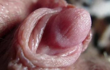 Extreme close up on my huge clit head pulsating